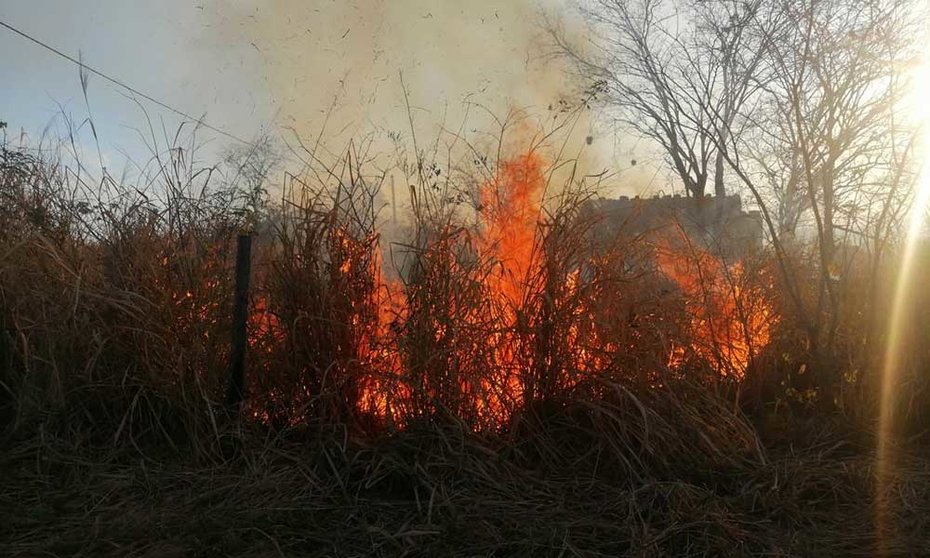 INCENDIOS-SANTA-CRUZ