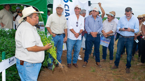 Emprendedor potosino se lanza al mercado del cemento cola - ANF Agencia de  Noticias Fides Bolivia